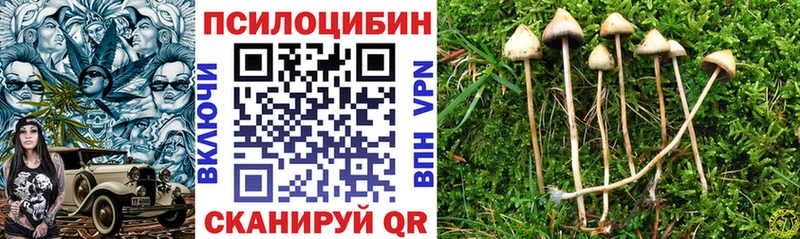 Галлюциногенные грибы прущие грибы Темрюк
