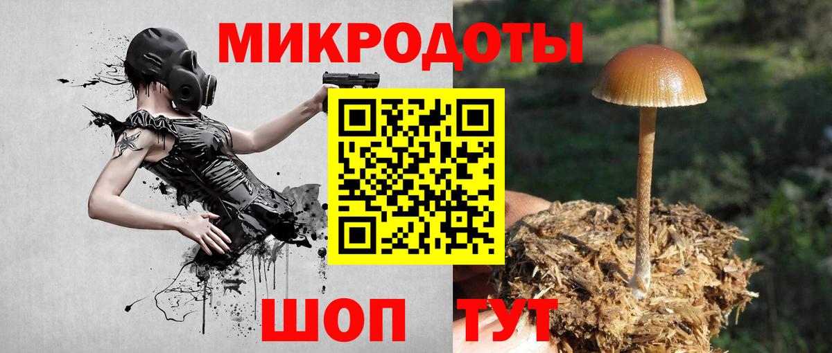 Темрюк  Псилоцибиновые грибы мухоморы  хочу   Вход с VPN 